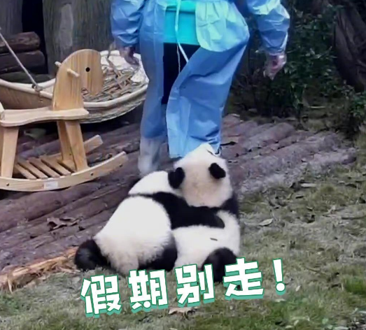 返程高峰不怕堵，至上音樂旗下車載音響讓你暢享音樂盛宴！