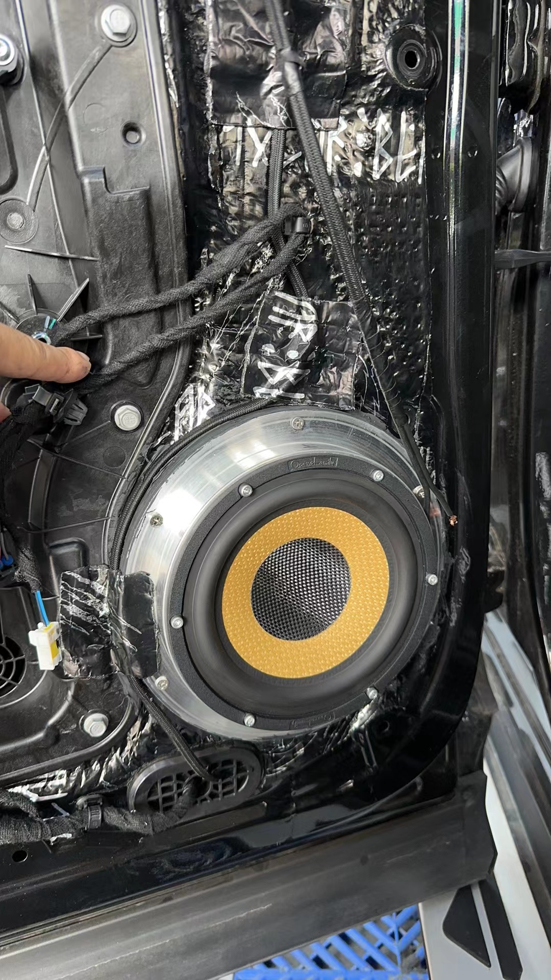 前聲場(chǎng) VS53 北冰熊.jpg