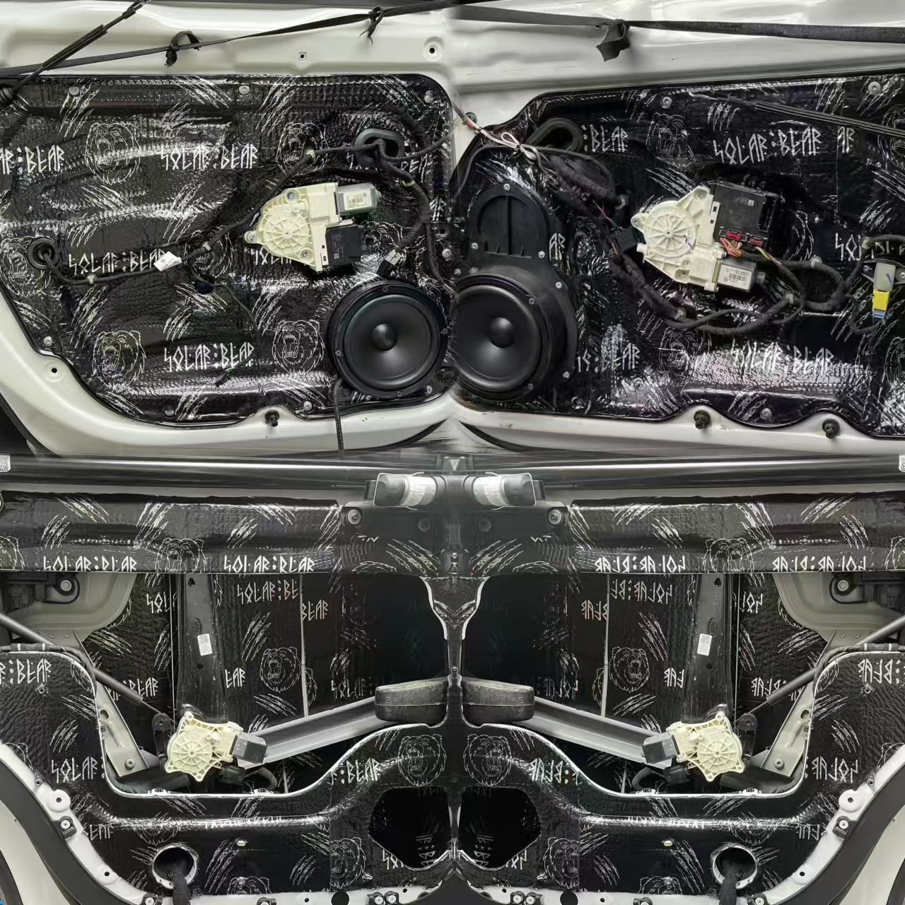 1729041903220975.jpg 四門北冰熊.jpg